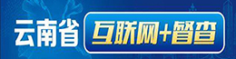 云南省互聯網+督查